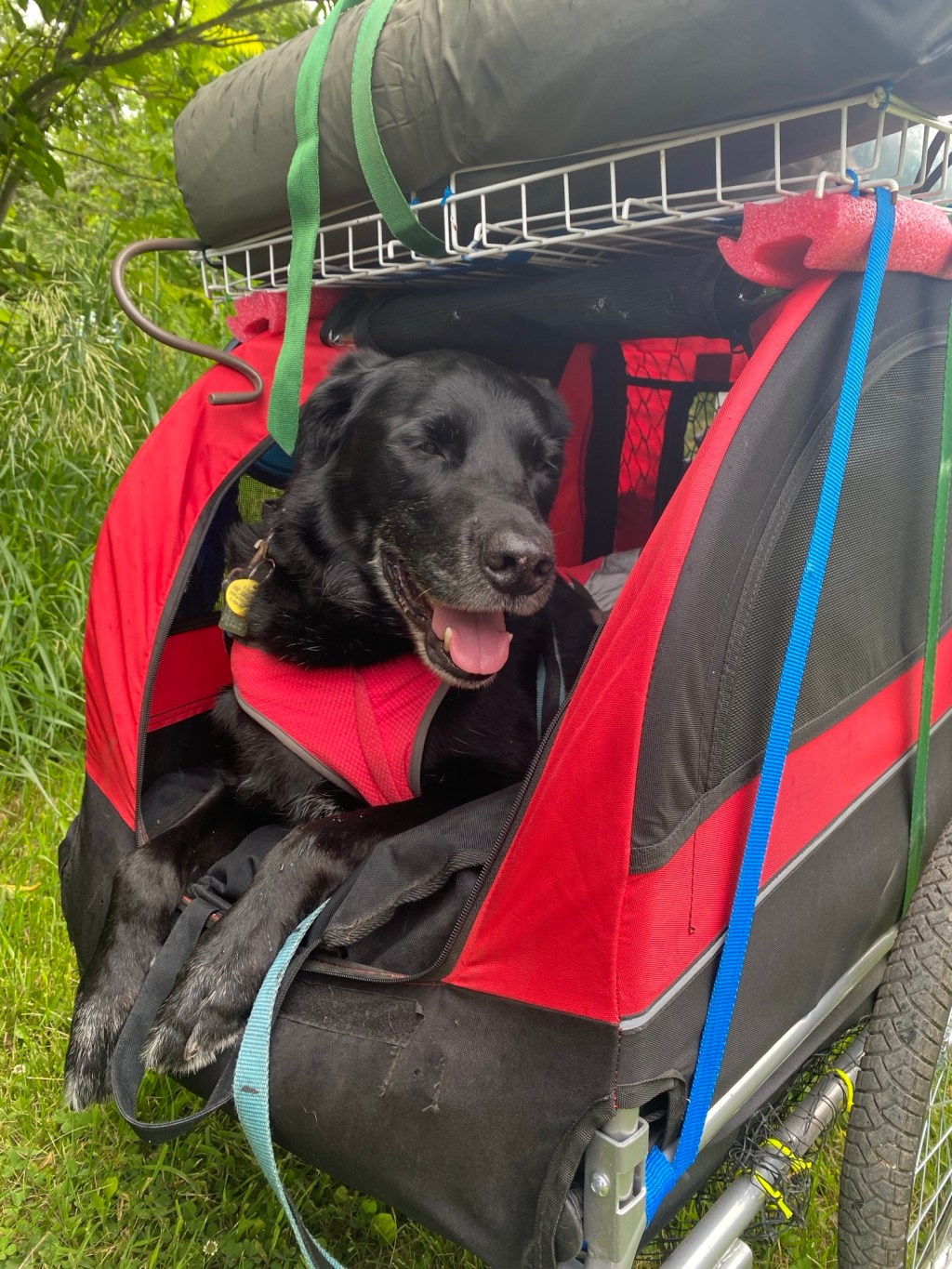 How Dax and I&nbsp;Met